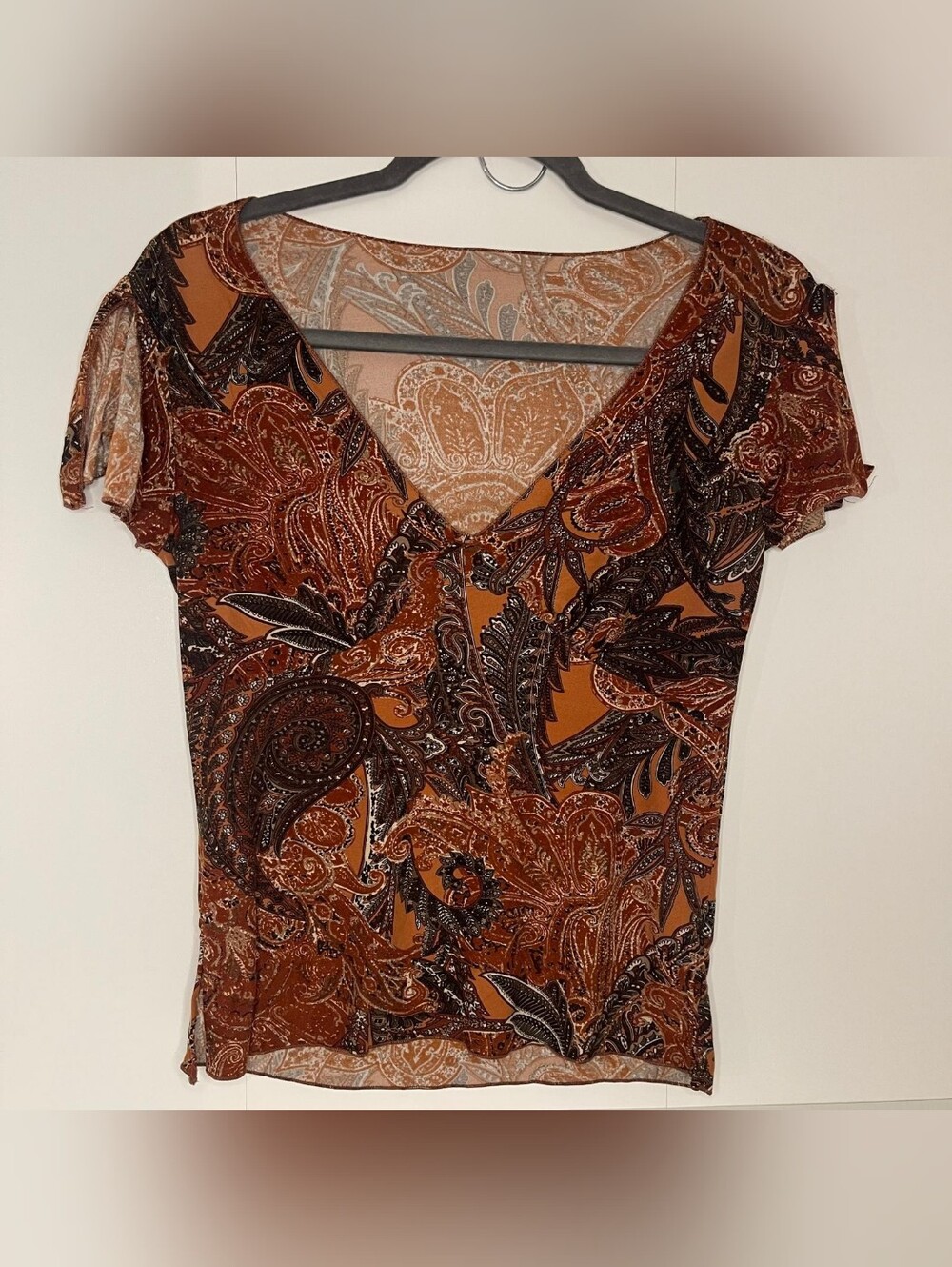 Y2K Vintage Paisley Mesh Top Brown Whimsigoth Fairycore Flutter Sleeve Blouse